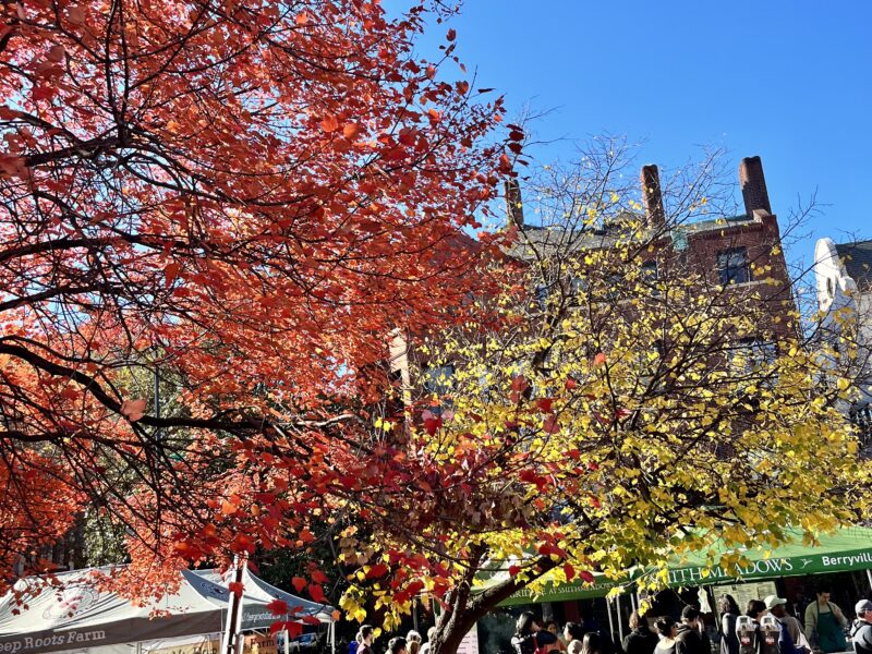 Dupont Circle Farmers Market in the fall